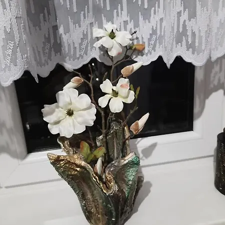Проживання в сім'ї Osiakowka